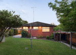 image (12)
